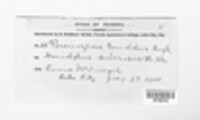 Image Associated With the Occurence